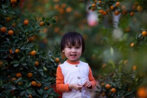 子供向けプログラミング教室を選ぶ際のポイントは？