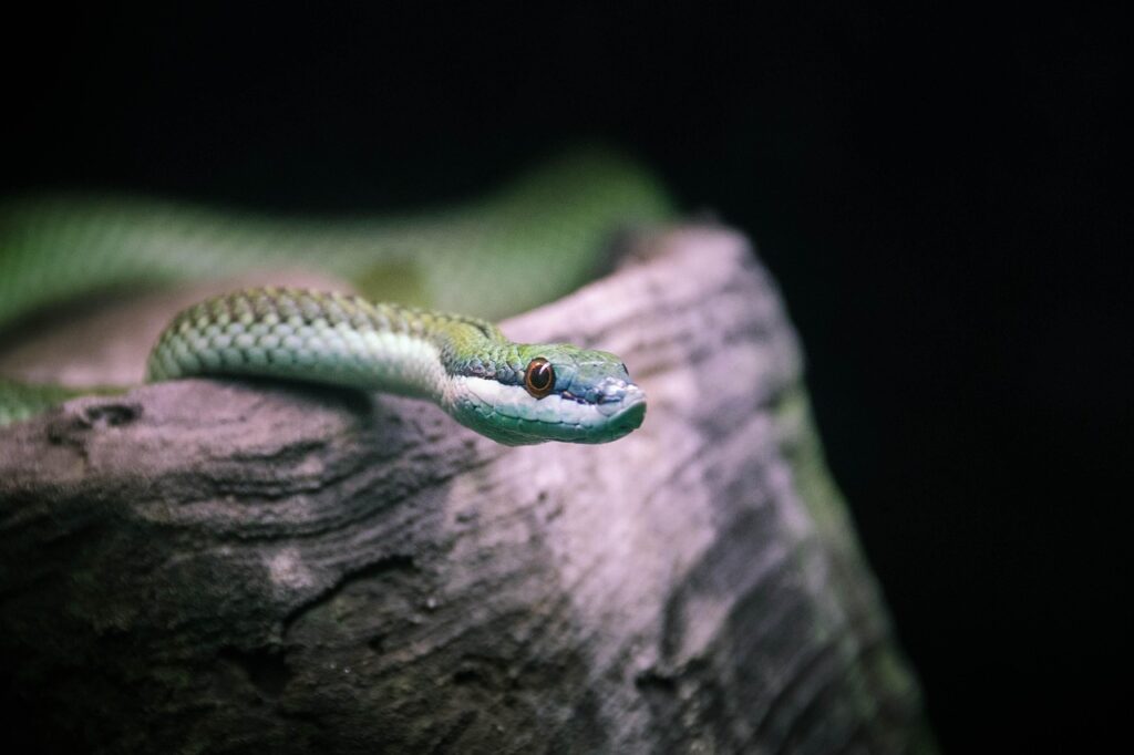 プログラミングを学ぶことで頭がよくなる理由は？