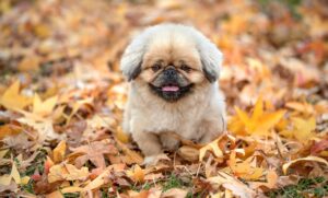 子どもがプログラミングに飽きない方法とは？