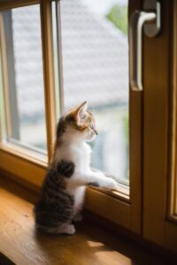 Scratchを使った小学生向けワークショップの魅力とは？